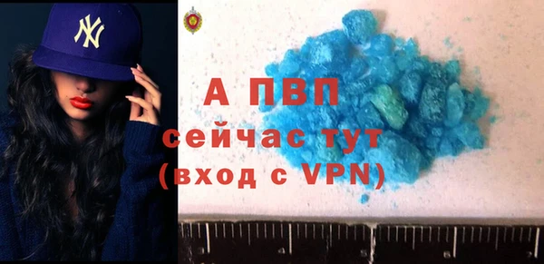 сатива Ростов
