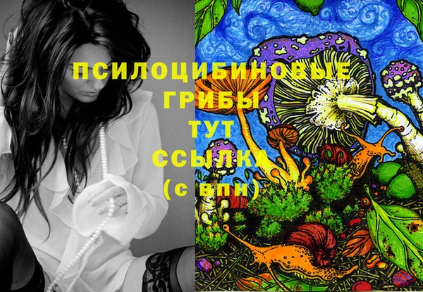 mix Протвино