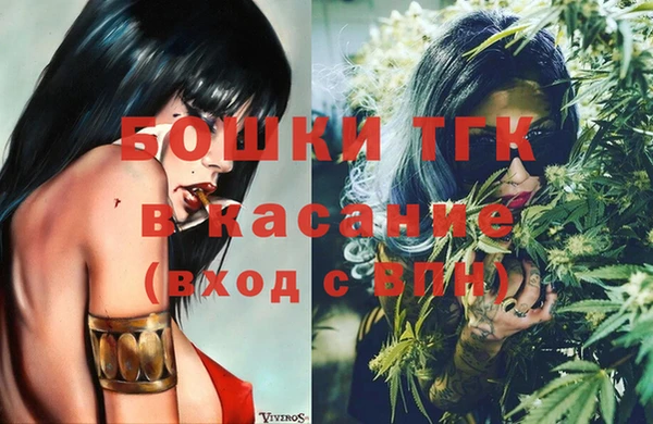 сатива Ростов