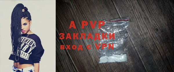 сатива Ростов